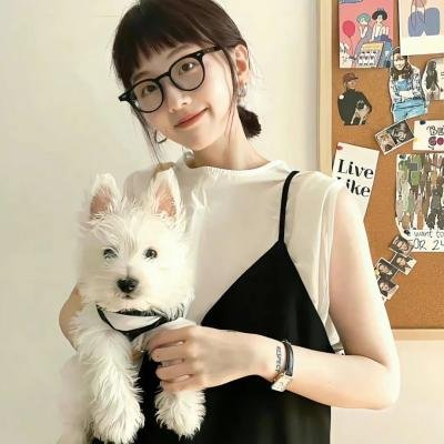 认识狗狗